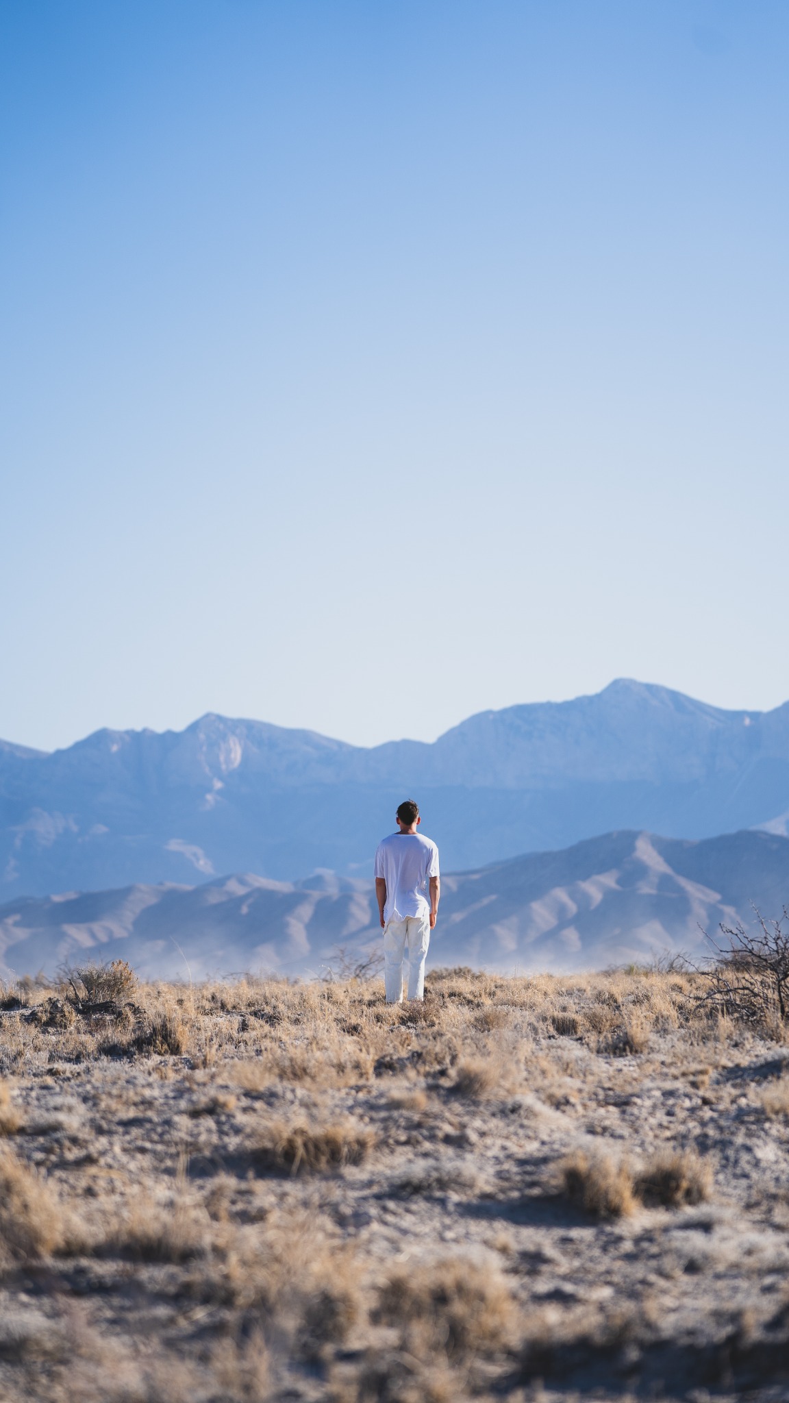 A person standing in a desert landscape facing a mountain range
